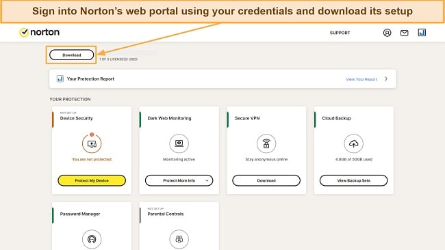 Screenshot of Norton's web portal