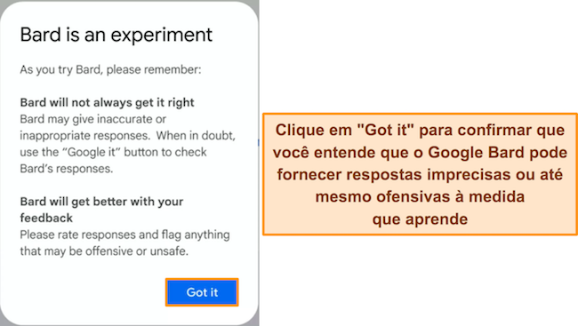 Imagem do aviso de aviso do Google Bard de que o serviço é experimental e pode gerar respostas incorretas ou ofensivas