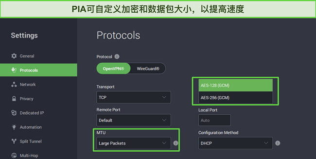PIA的Windows应用程序的截图,显示可定制的协议设置