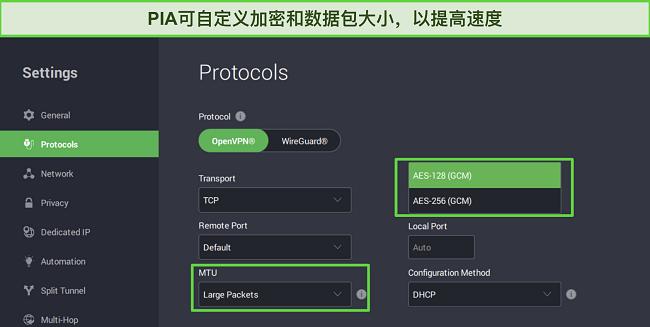 PIA的Windows应用程序的截图，显示可定制的协议设置