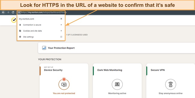 Screenshot showing HTTPS in Norton's URL