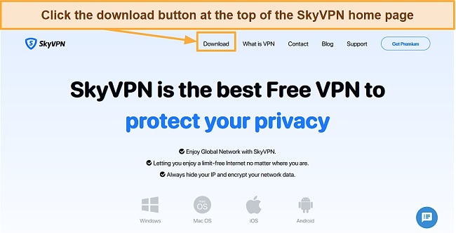 Screenshot of SkyVPN website's main interface
