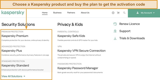Screenshot of Kaspersky's products displayed on its website