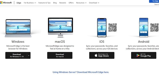 Microsoft Bing download button screenshot