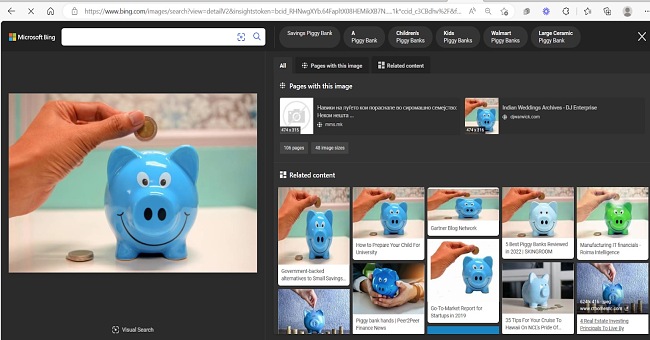 Microsoft Bing images results screenshot