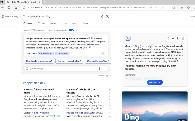 Microsoft Bing search results screenshot