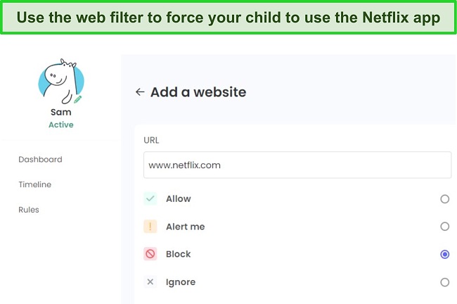 Netflix parental control web filter screenshot