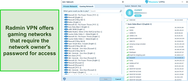 Screenshot of various gaming networks accessible via Radmin VPN