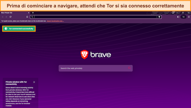 Immagine della finestra del browser Tor di Brave, che chiede all'utente di assicurarsi che Tor si connetta prima di navigare.