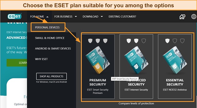 Screenshot of ESET's premium plans