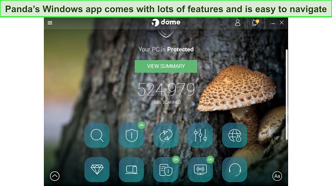 Screenshot of Panda's Windows app