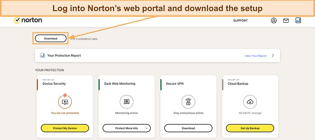 Screenshot showing how to download Nortons' setup from the web portal