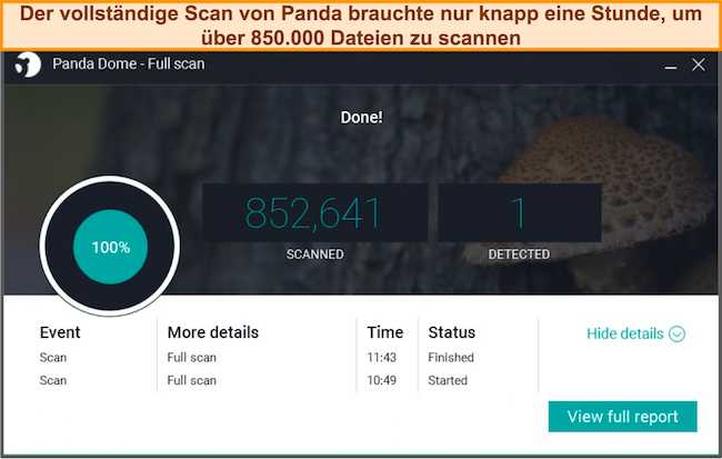 Vollständiger Bericht zum besten Cloud-basierten Antiviren-Panda