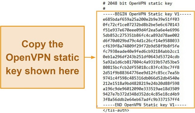 Screenshot of OpenVPN Static Key V1 code in its config file when opened through Notepad