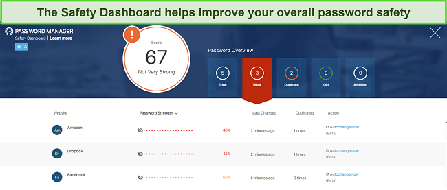 Screenshot of Norton Password Manager's Safety Dashboard