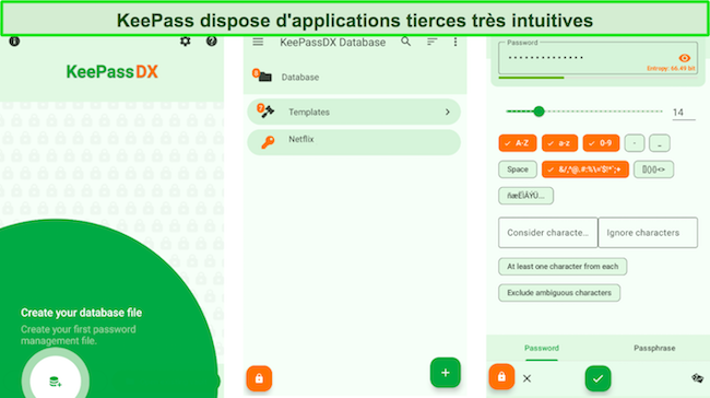 Capture d'écran de l'interface de l'application Android tierce de KeePass