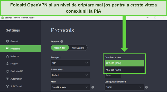 Imaginea aplicației Windows PIA, arătând caracteristicile personalizabile care pot oferi o creștere a vitezei rețelei.