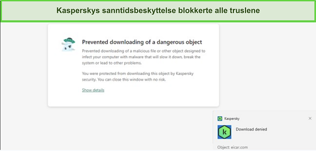 Skjermbilde av Kaspersky Antivirus anmeldelse: Phishingbeskyttelse.