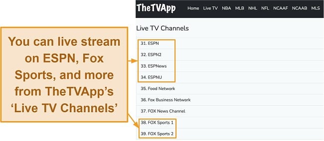 Screenshot of TheTVApp's dashboard displaying the list of live TV channels