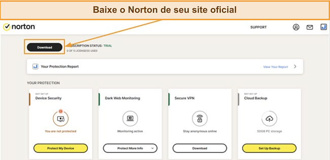 Imagem do firewall Norton protegendo seu pc