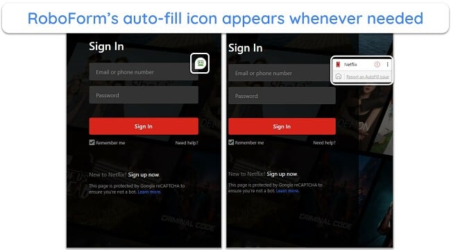 Screenshot of RoboForm's auto-fill dialog showing up on Netflix