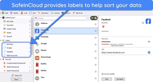 Screenshot showing the various labels SafeInCloud provides to help sort data