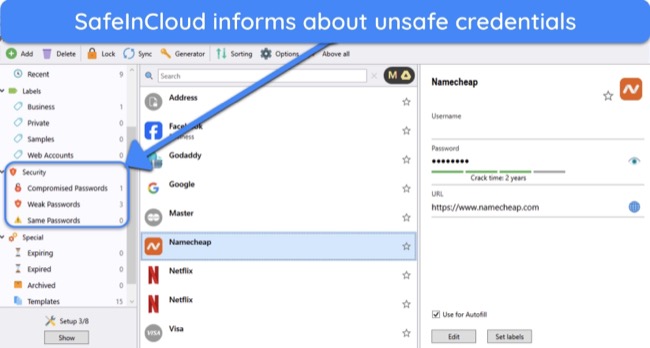 Screenshot showing the Password Security feature in SafeInCloud