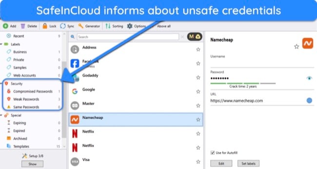 Screenshot showing the Password Security feature in SafeInCloud