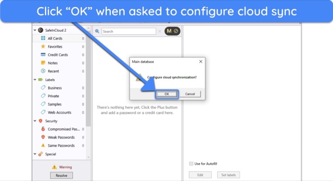 Screenshot showing how to begin setting up cloud synchronization in SafeInCloud