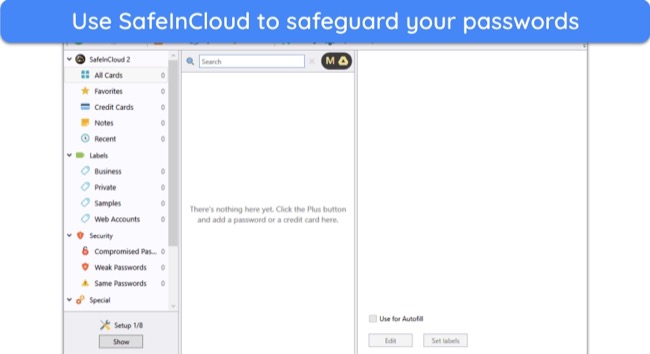 Screenshot of SafeInCloud after it's fully set up and ready to use