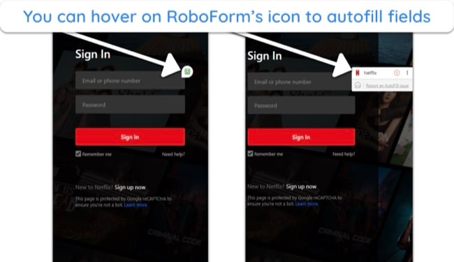 Screenshot of RoboForm autofilling credentials on a Netflix Sign In page
