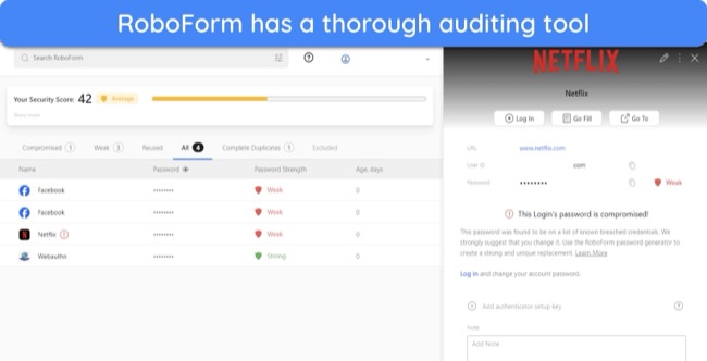 Screenshot of RoboForm's auditing feature