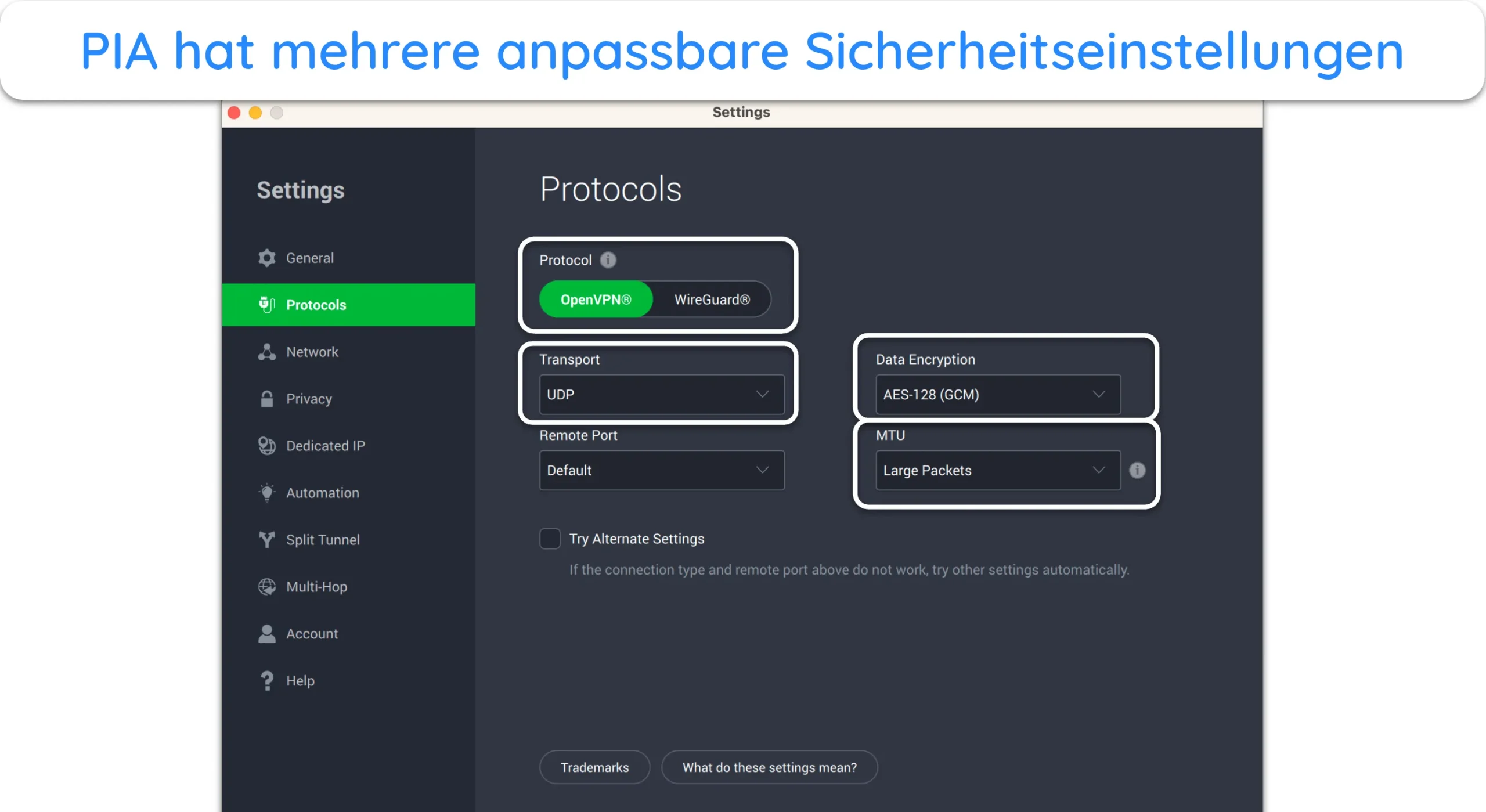 Screenshot der erweiterten Einstellungen von PIA.
