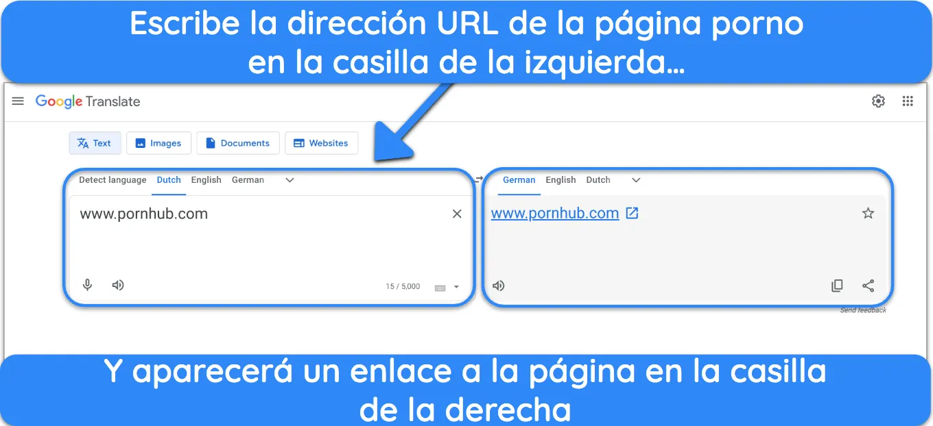 Interfaz del Traductor de Google que muestra una traducción sobre cómo ver contenido para adultos de forma segura.