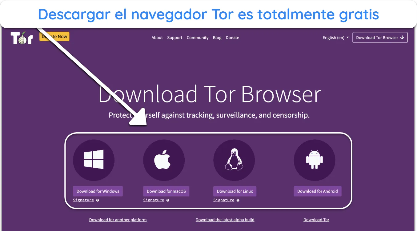 Imagen del sitio web oficial del navegador Tor, que destaca las opciones de descarga gratuita.