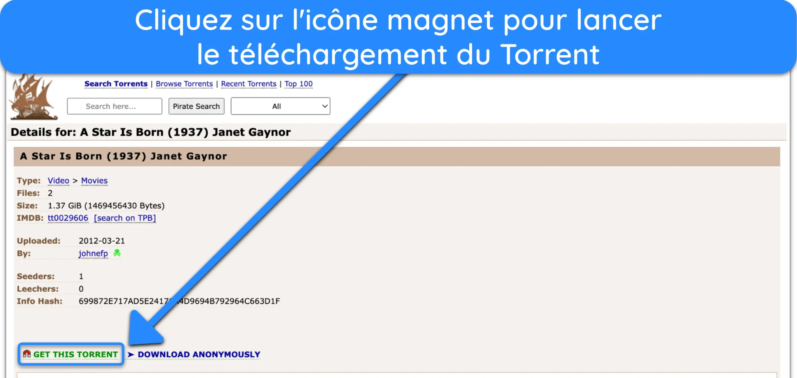 Capture d'écran montrant le lien magnétique d'un fichier torrent sur The Pirate Bay.