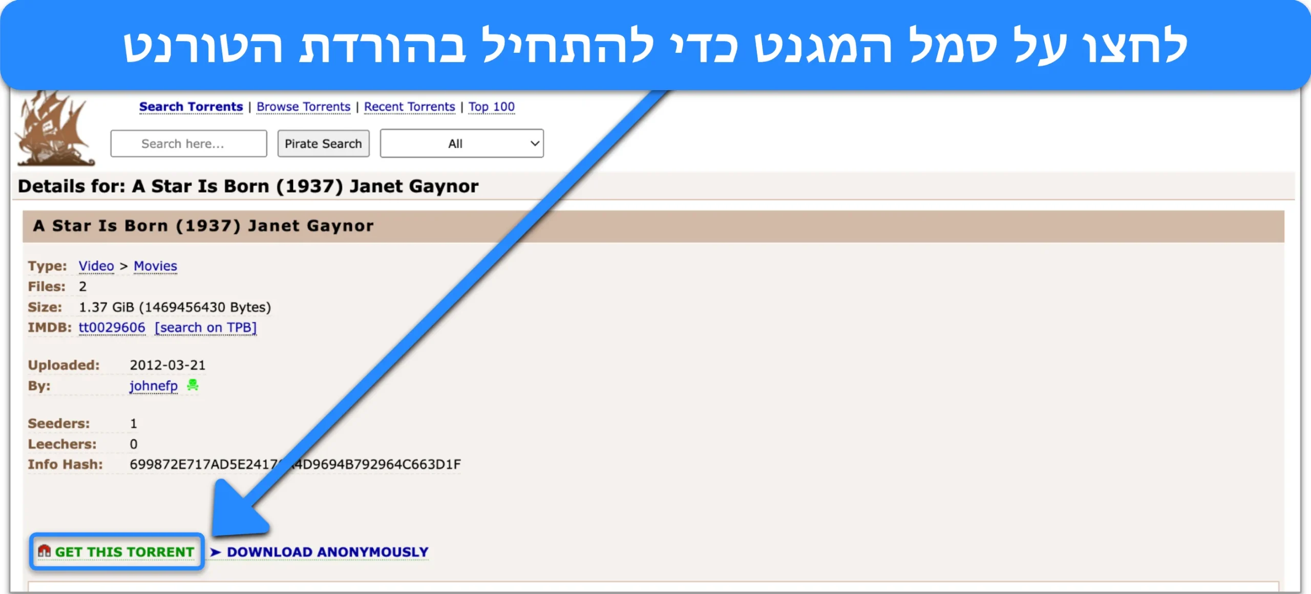 צילום מסך המראה את הקישור למגנט של קובץ טורנט במפרץ הפיראטים.