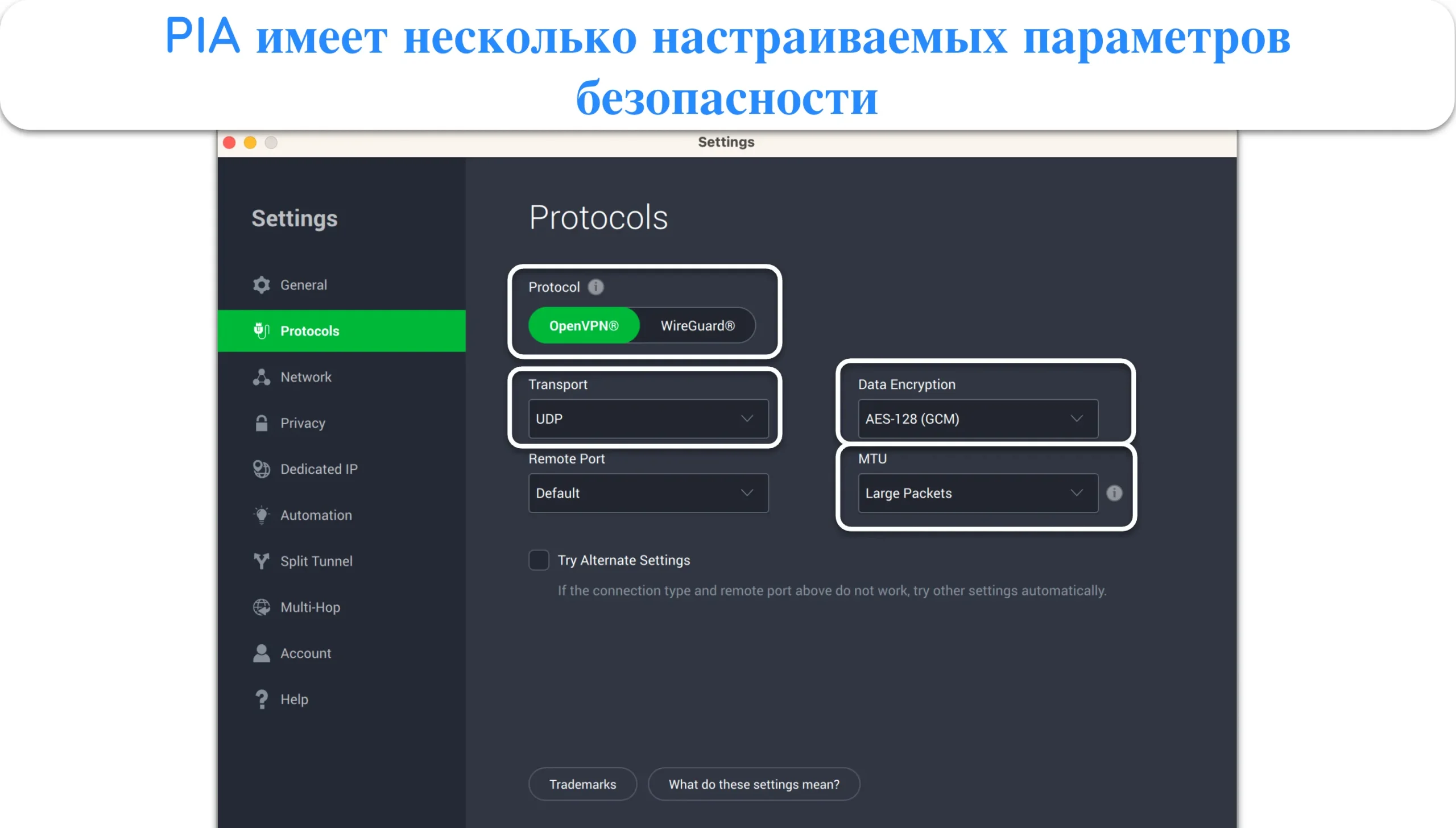 Снимок экрана с расширенными настройками PIA.