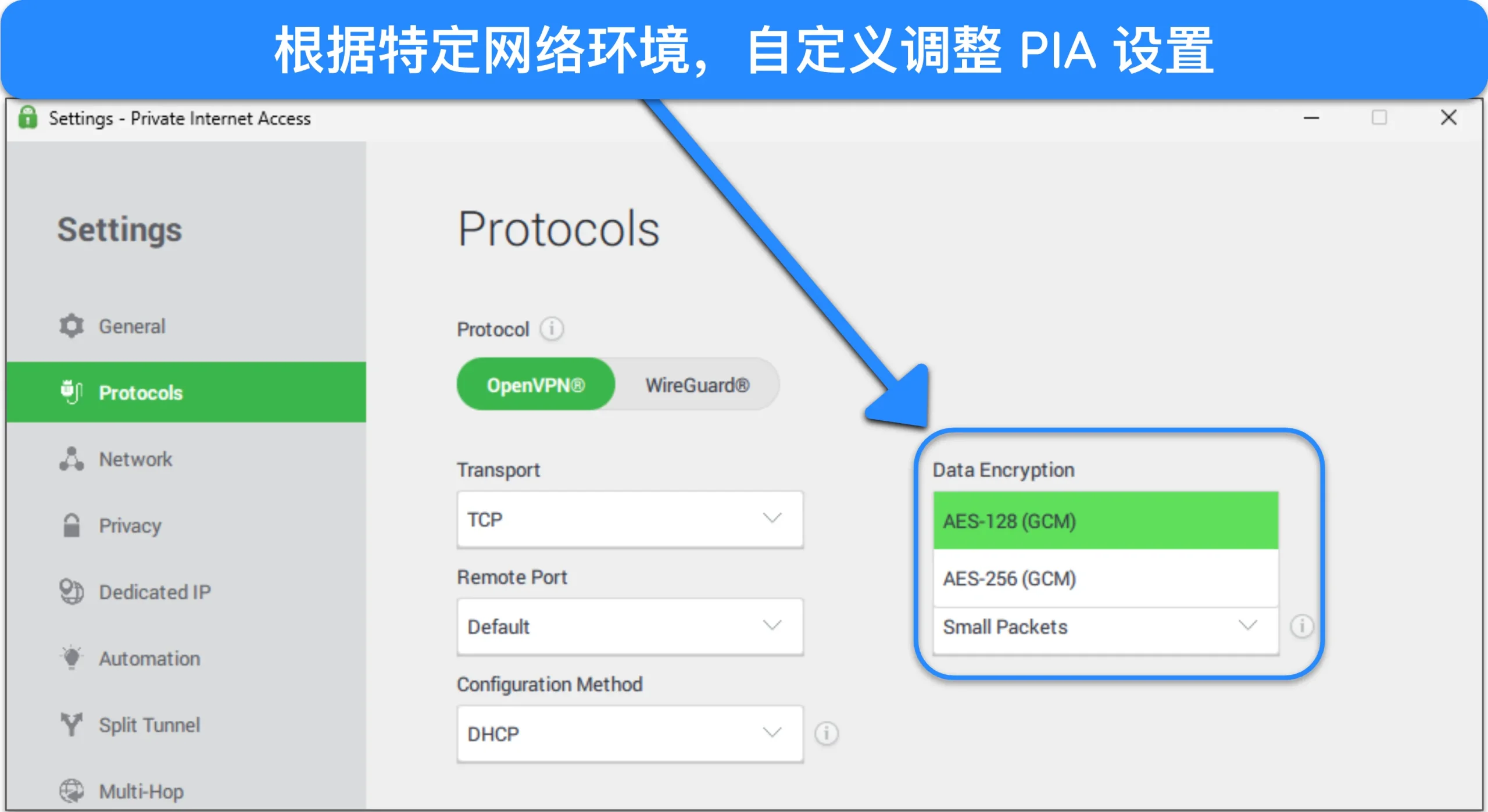 PIA Windows 应用的图片,突出显示了其协议自定义选项。